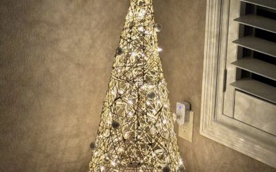 Christmas Letter 2025